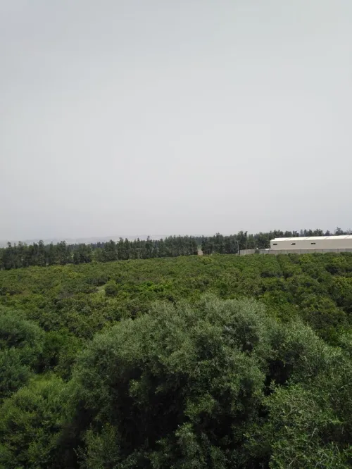 Vente Villa Alger Birtouta