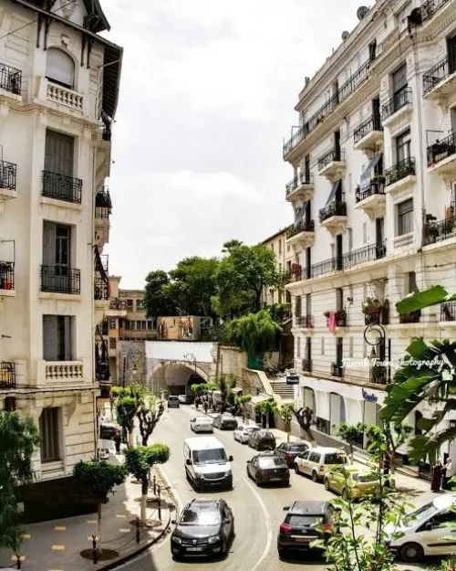 Location Appartement Studio Alger Alger centre