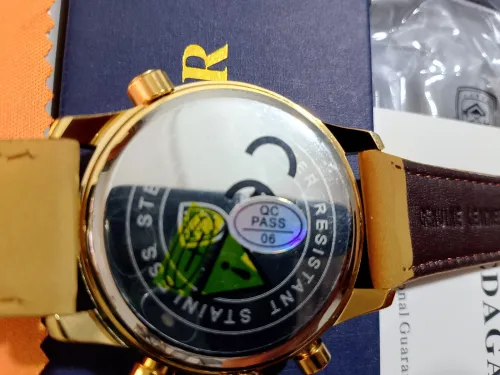 POEDAGAR 960 Luxury Man Watch