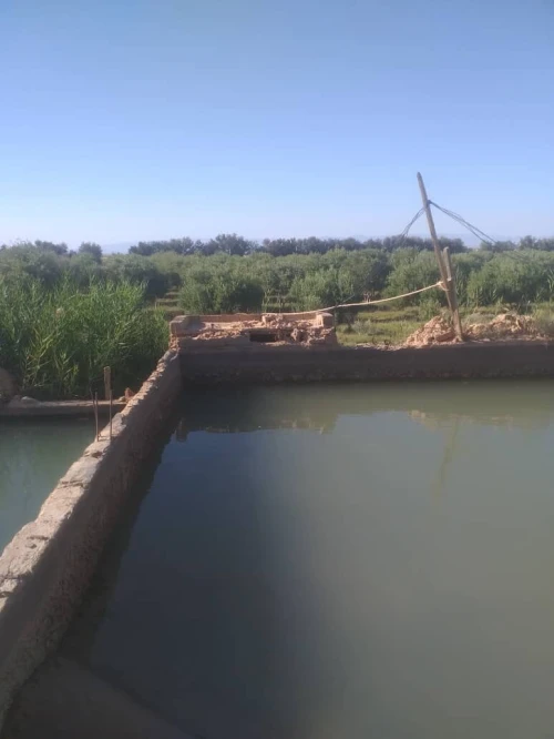Vente Terrain Agricole M'Sila Mcif