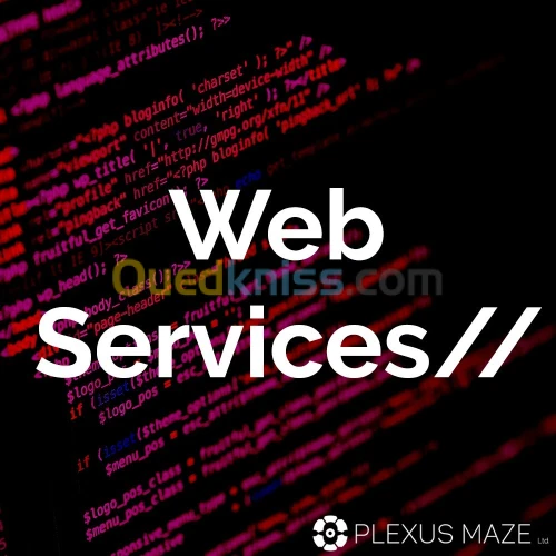 Service Cloud a distance PLEXUS MAZE LTD.