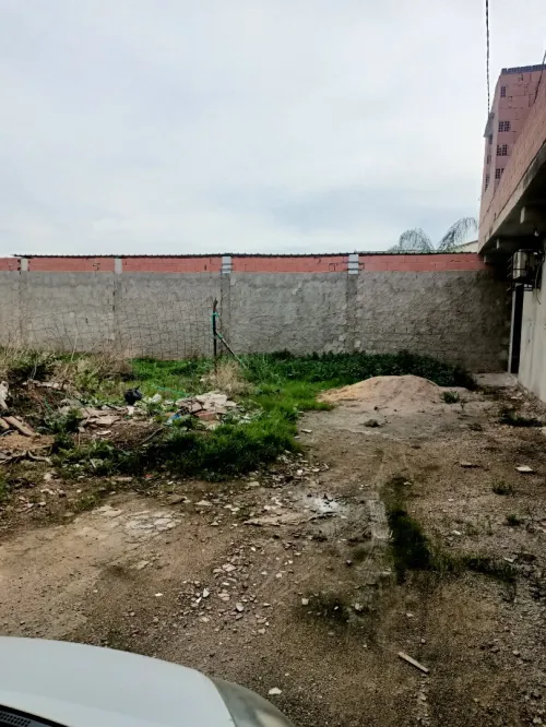 Vente Terrain Alger Ouled chebel