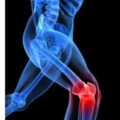 Médecin Spécialiste Rhumatologue