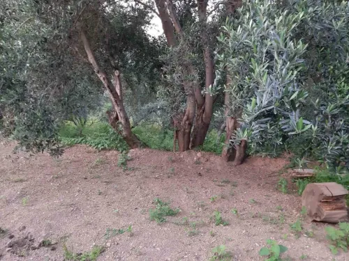 Vente Villa Béjaïa Souk el thenine