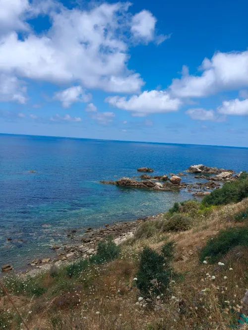 Vente Terrain Béjaïa Bejaia