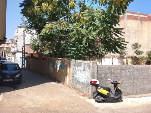 Vente Terrain Blida Blida 4