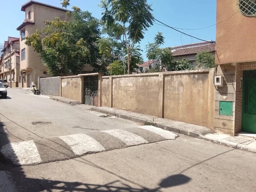 Vente Terrain Blida Blida 2