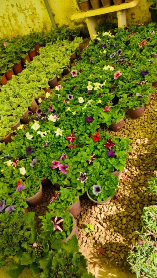 Amenagement des espaces verts