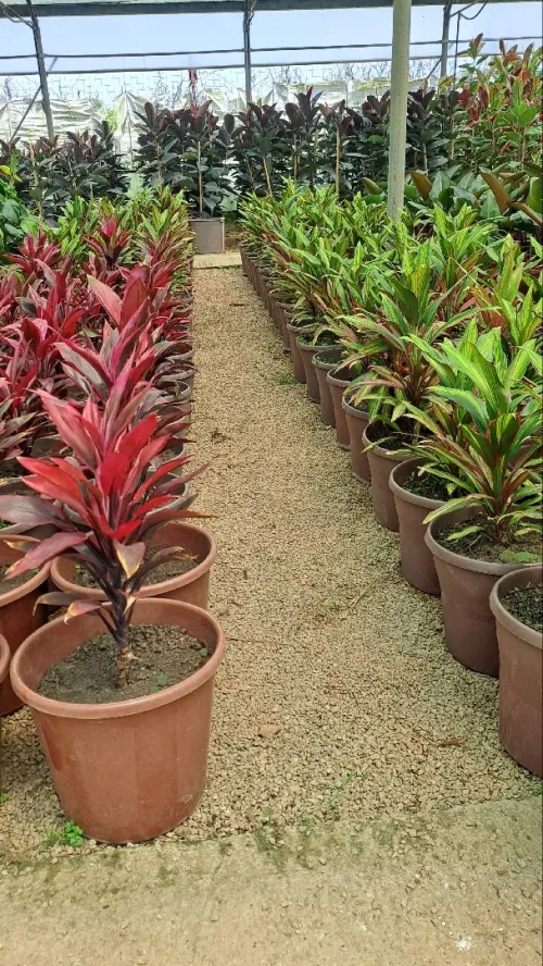 Jardinage