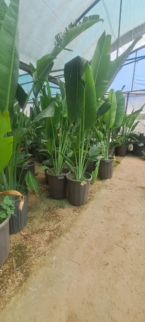 amenagement des espaces verts