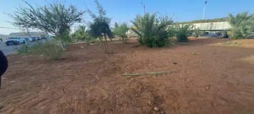 AMENAGEMANT DES ESPACES VERTS