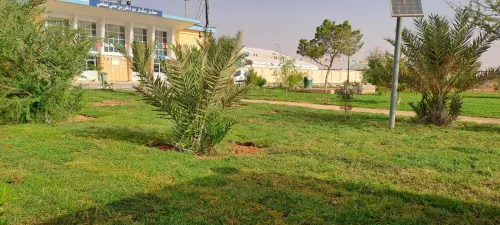 AMENAGEMENT DES jardin