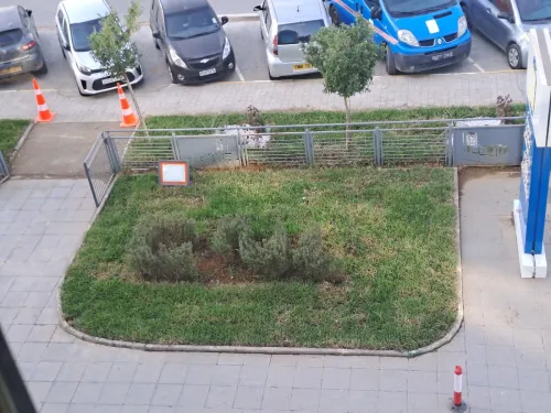 Amenagement des espaces verts