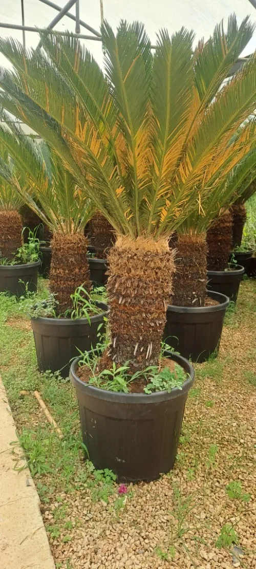 amenagement des espaces verts