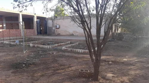 Vente Terrain Saïda Ouled khaled