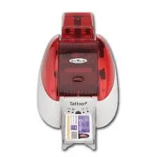 Ruban Evolis peeble / Tattoo