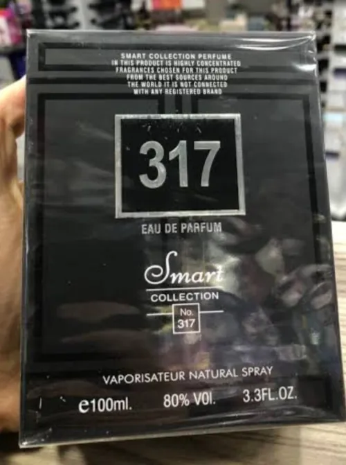 Smart 317 دورجين تاع دبي