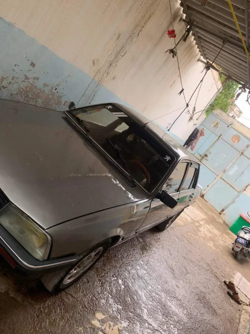 Peugeot 505 1981 505