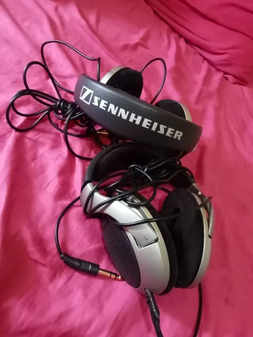 Casque Sennheiser HD 555