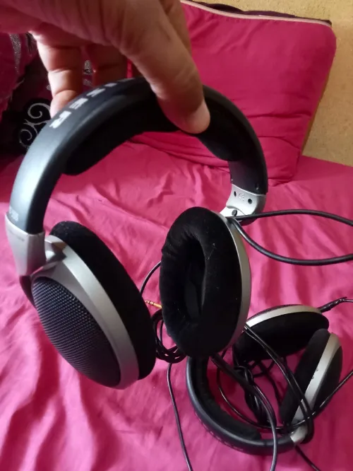 Casque Sennheiser HD 555