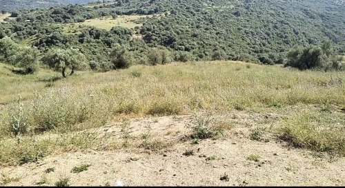 Vente Terrain Bouira Lakhdaria