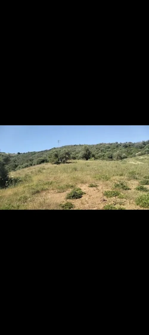 Vente Terrain Bouira Lakhdaria