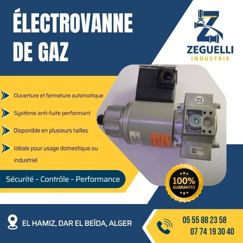 Electrovanne de gaz