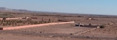 Vente Terrain Agricole Béchar Kenadsa
