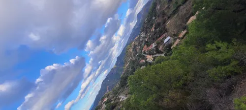 Vente Terrain Tipaza Larhat