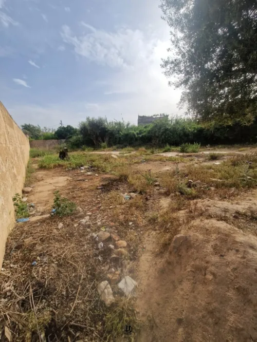 Vente Terrain Tlemcen Hennaya