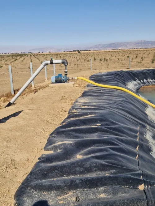 Vente Terrain Agricole Aïn Témouchent Ain el arbaa