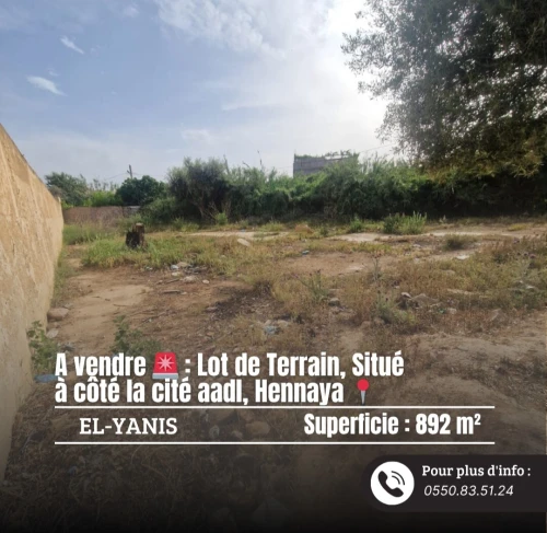 Vente Terrain Tlemcen Hennaya