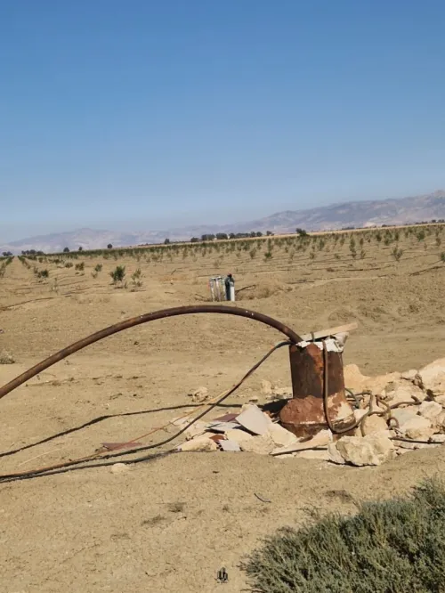 Vente Terrain Agricole Aïn Témouchent Ain el arbaa