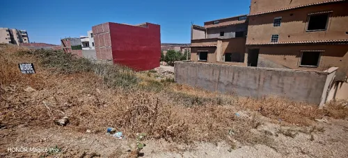 Vente Terrain Tlemcen Mansourah