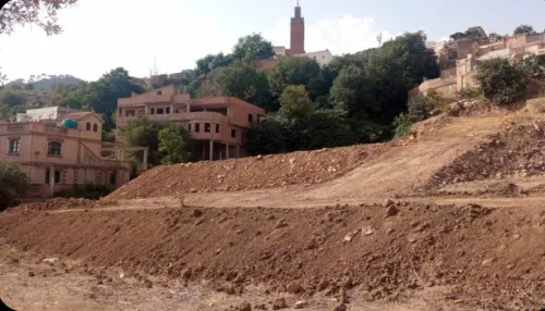 Vente Terrain Tlemcen Tlemcen