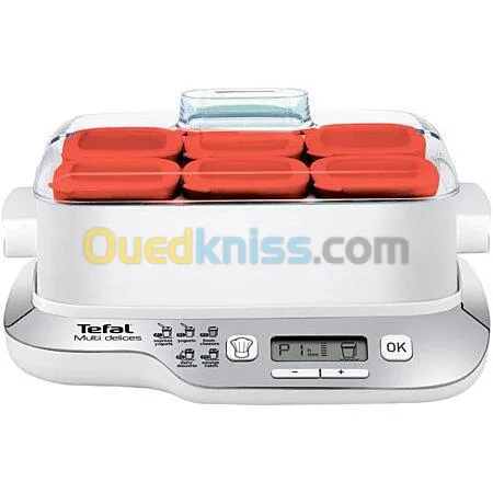 YAOURTIERE TEFAL MULTIDELICES 6 POTS YG6601 32