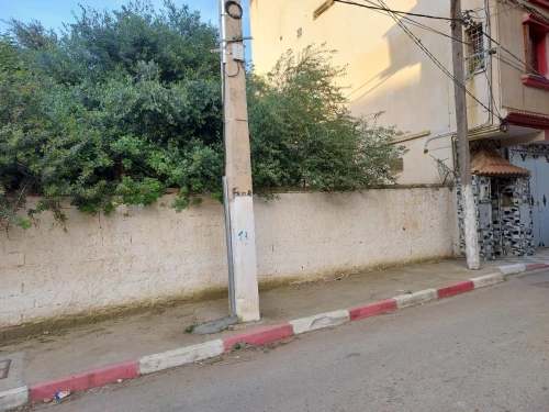 Vente Terrain Tipaza Kolea