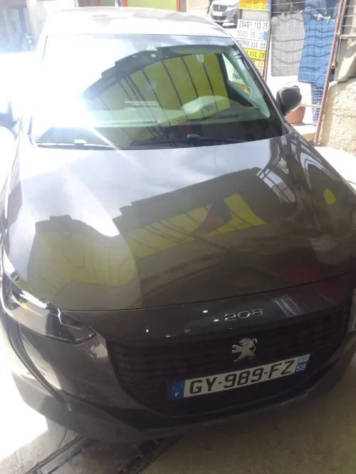 Peugeot 208 2022 208