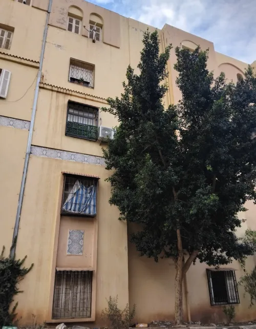 Vente Appartement F3 Tlemcen Hennaya
