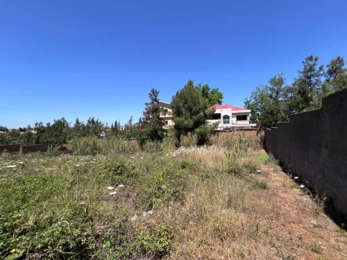 Vente Terrain Alger Saoula