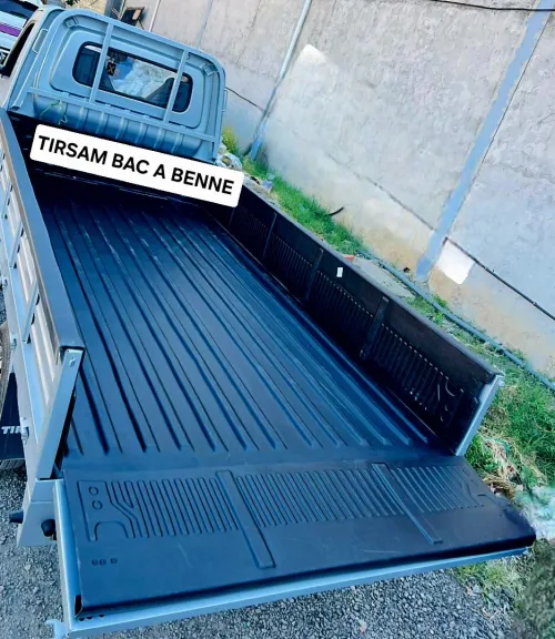 Bac à benne بسينة Mini Truck TIRSAM
