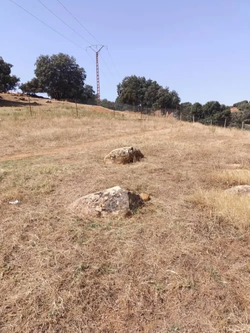 Vente Terrain Médéa Medea