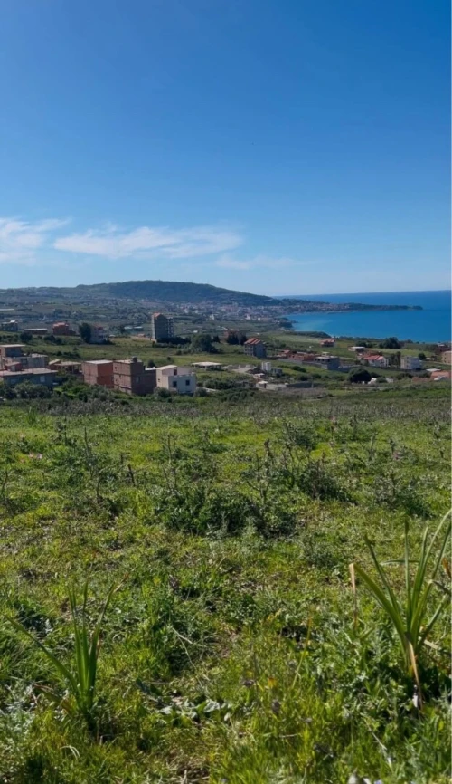 Vente Terrain Boumerdès Dellys