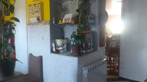 Vente Appartement F5 Blida Boufarik