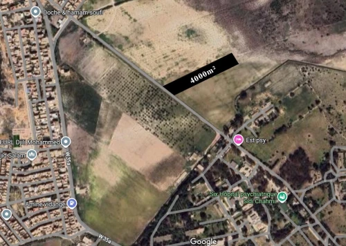Vente Terrain Oran Sidi chami