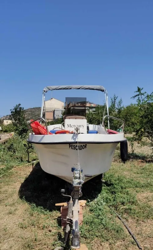 Barque moteur Mercury 25 hp