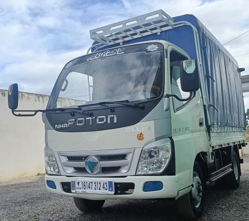 FOTON Ollin 2012