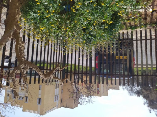 Location vacances Appartement F2 Alger Ain benian