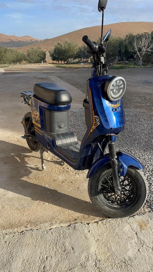 دراجة كهربائية Scoozer 2025