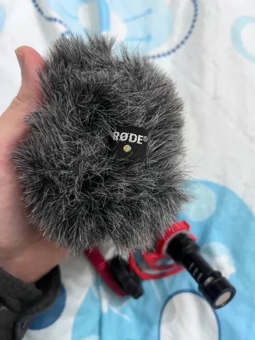 Micro Scarlett Studio + Micro Boya + Micro Rode